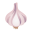 Garlic u1f9c4 Icon 64 x 64