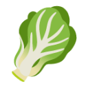 Leafy Green u1f96c Icon 128 x 128