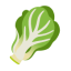 Leafy Green u1f96c Icon 64 x 64
