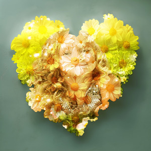 A Picture With A Heart Of White Flowers That You Can Put A Picture On ...