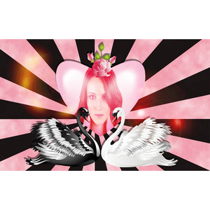 Image On Your Lover Swans And Hearts photo effect