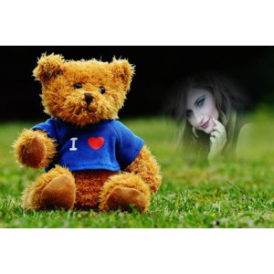 Teddy Bear Love photo effect