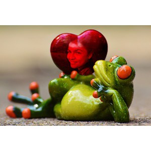 Your Picture On The Heart And The Frog photo effect