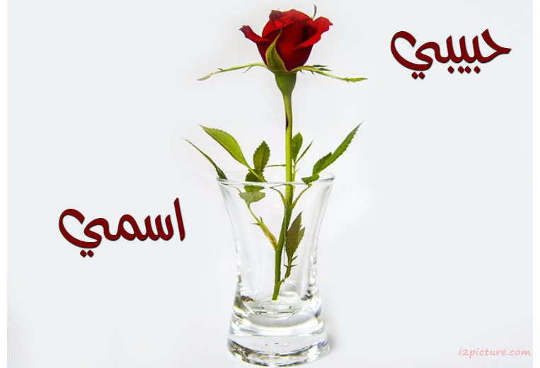 Your Lover's Name On The Vase With A White Background Postcard