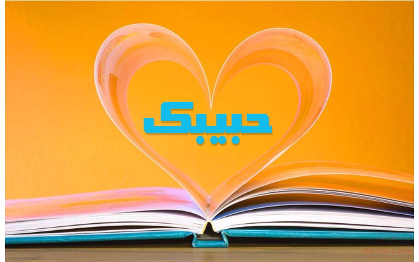 Your Lover's Name On The Book Postcard