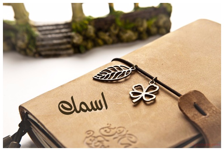 Your Name On The Book Postcard