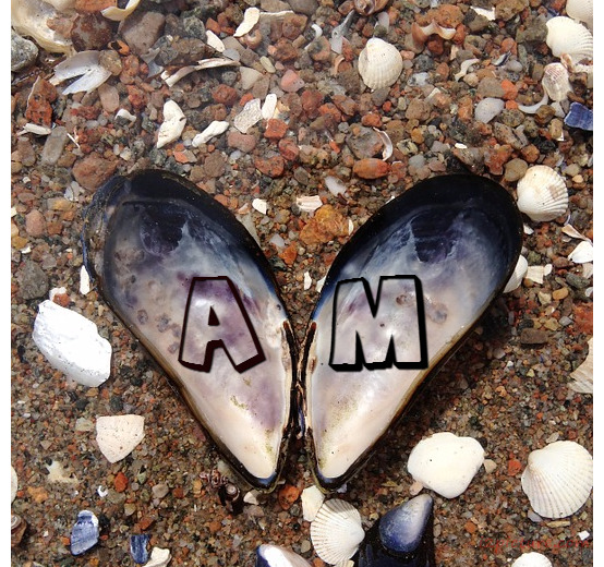 Your Name And Your Lover On An Open Shell Postcard