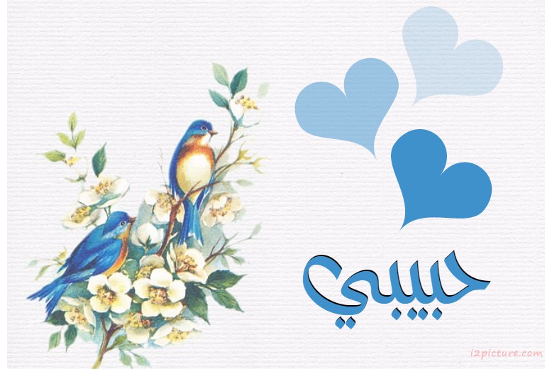 Your Lover's Name On A Blue Background, Birds Postcard