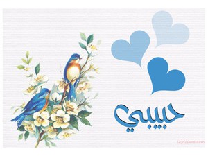 Your lover's name on a blue background, birds