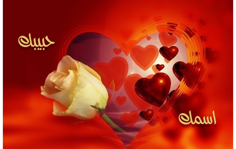 Rose With Red Hearts Postcard