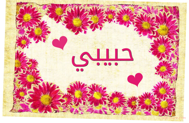 Your Lover's Name On A Framework Of Flowers Postcard