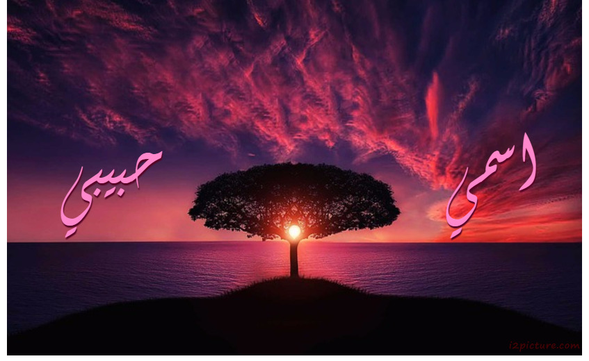 View Of Nature In The Evening Postcard