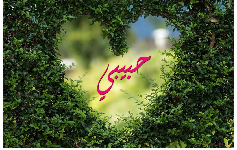 Type Your Lover's Name On The Conveyer The Heart Of The Tree Leaves Postcard