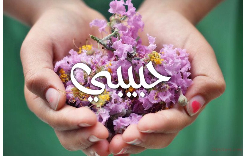 Your Name And Your Lover On Flowers In The Hands Of A Person 000 Postcard