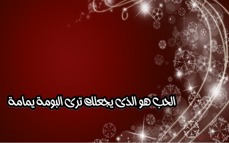  حكم و خواطر - الحب هو الذى يجعلك ترى البومة يمامة