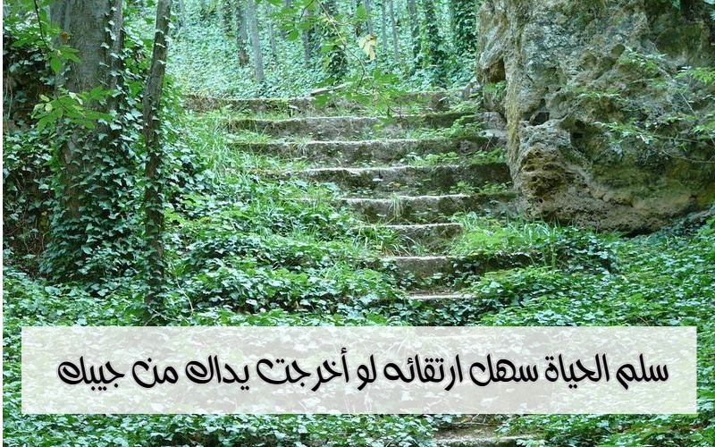  حكم و خواطر - سلم الحياة سهل ارتقائه لو أخرجت يداك من جيبك
