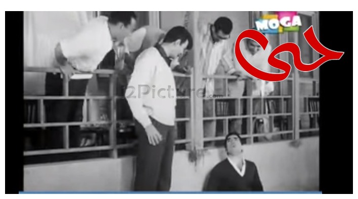  قفشات الأفلام - حى 