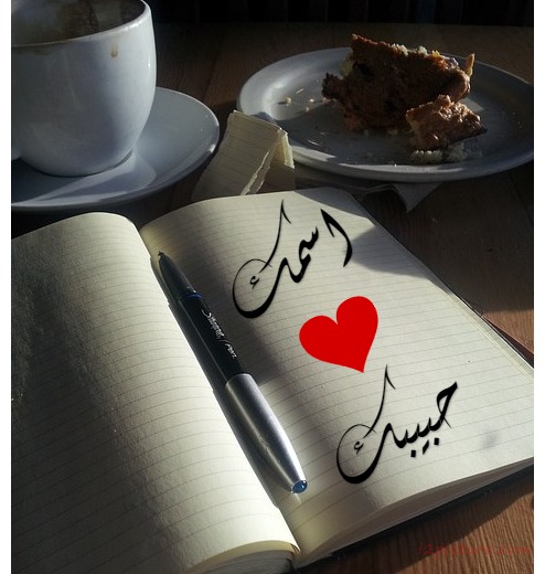 Open Notebook With A Pen Postcard