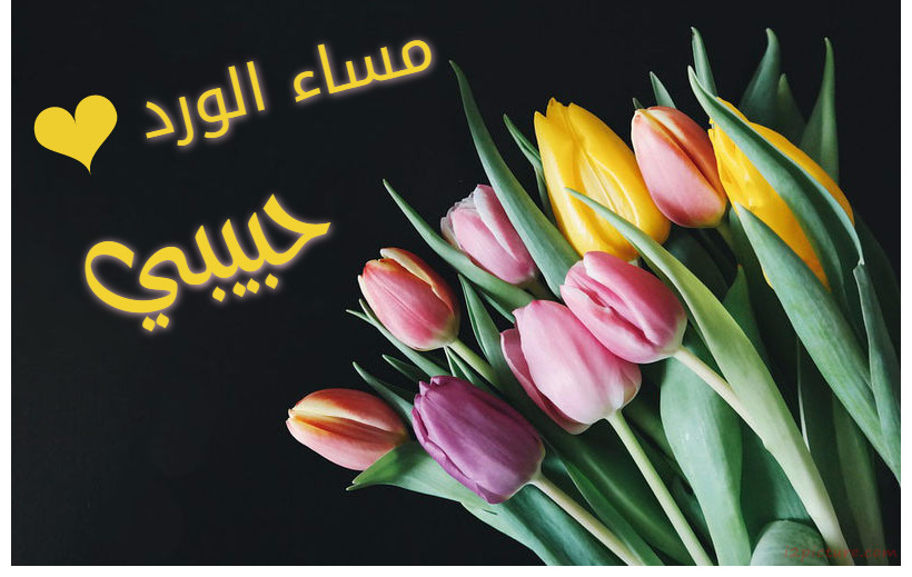 Write Your Name Next To A Black Background Flowers Postcard