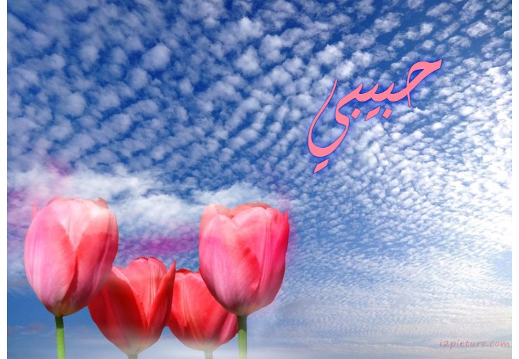 Your Lover On The Sky And Flowers Rosy Postcard