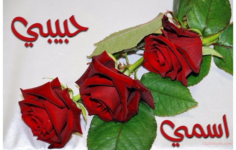 Name Your Lover Next Three Red Flowers Postcard