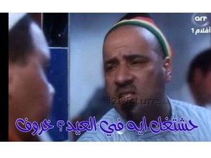حشتغل ايه في العيد؟ خروف