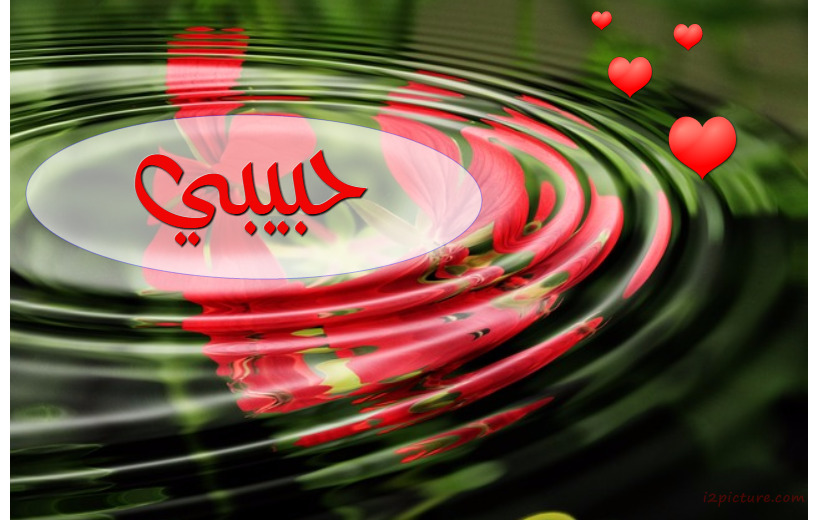 Your Name On The Water And Red Flowers Postcard