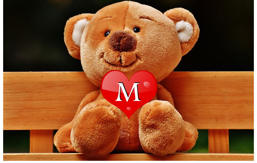 Your Name On A Teddy Bear On A Bench Postcard