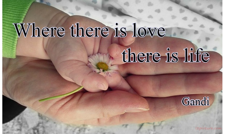  حكم و خواطر - Where There Is Love There Is Life Gandi