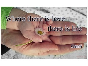 Where there is love there is life Gandi
