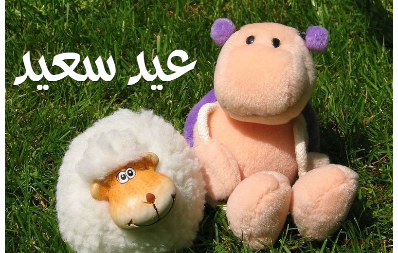 عيد سعيد العاب على الحشائش Postcard