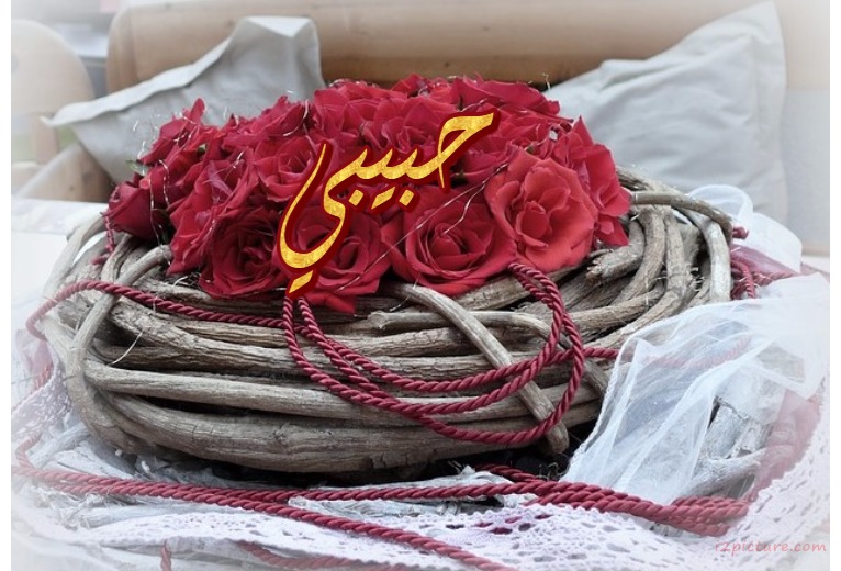 Your Name On A Basket Of Red Roses Postcard