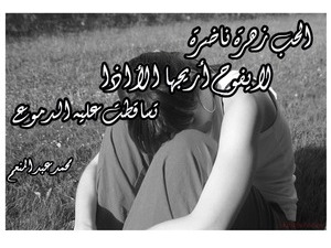 الحب زهرة ناضرة لا يفوح أريجها الأ اذا تساقطت عليه الدموع محمد عبد المنعم