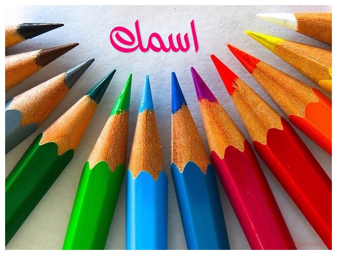 Colored Pencils Postcard