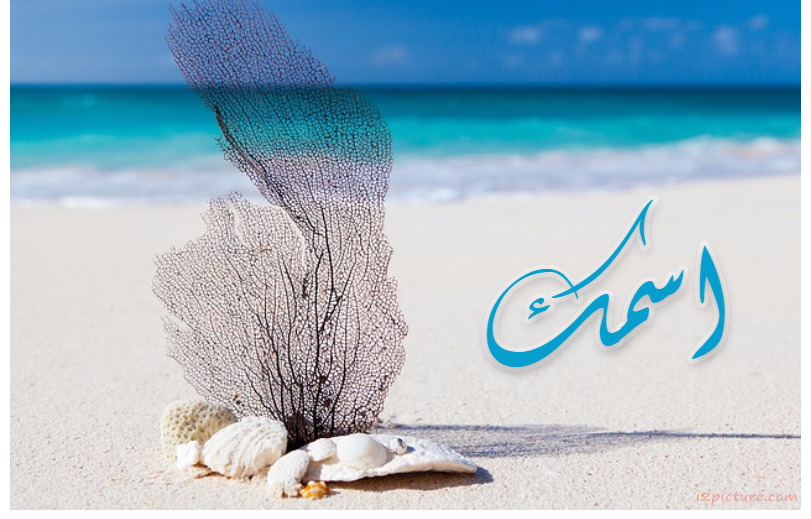 Your Name Next To The Herb On The Beach Postcard