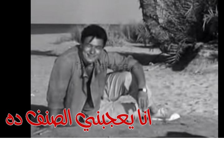  قفشات الأفلام - انا يعجبني الصنف ده