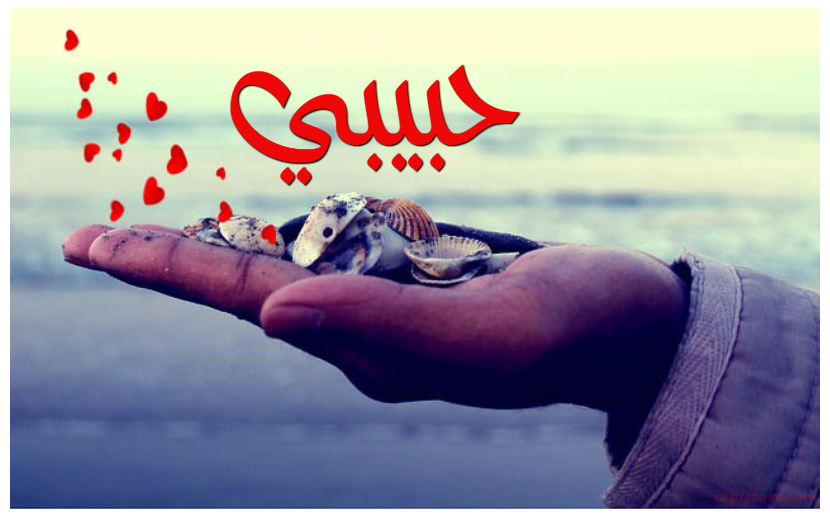 Your Lover's Name On The Hearts And Snails Postcard