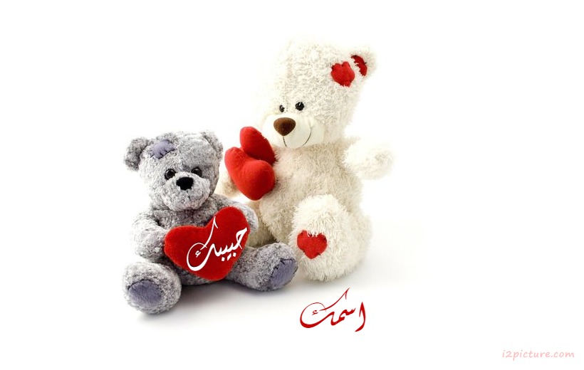 Teddy Bear Love Postcard