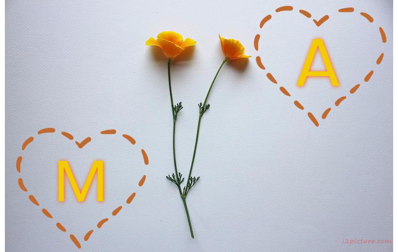 Your Name And Your Lover's Hearts And Flowers 22 Postcard