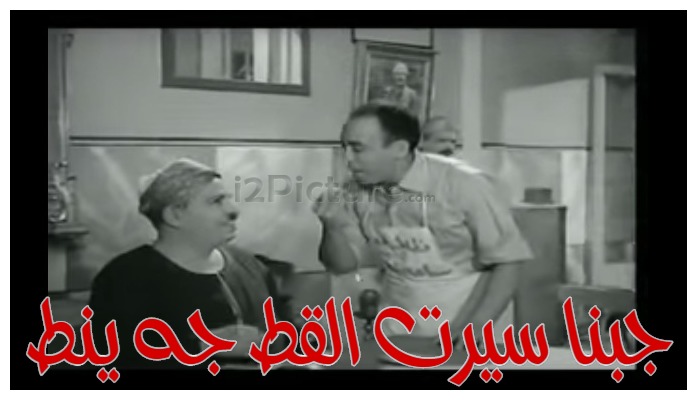  قفشات الأفلام - جبنا سيرت القط جه ينط