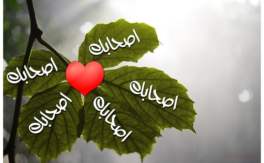 The Names Of Your Friends On A Tree Trunk Postcard