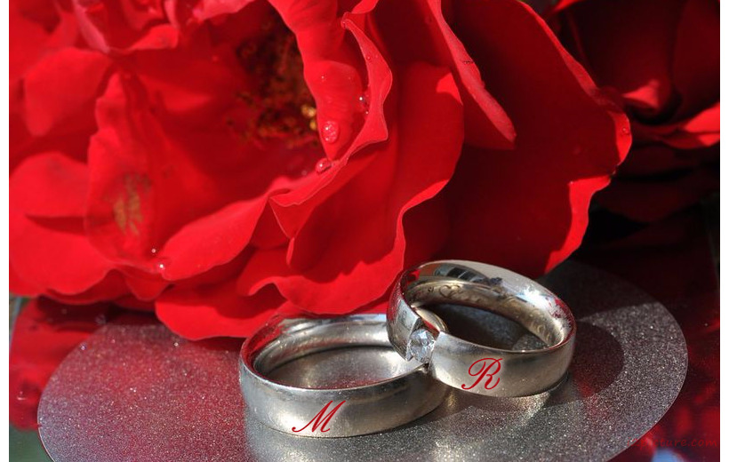Type Your Lover's Name On A Wedding Ring And Red Flowers Postcard