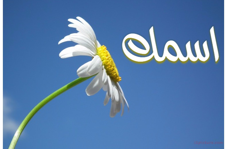 Your Name On A Flower And A Blue Background Postcard