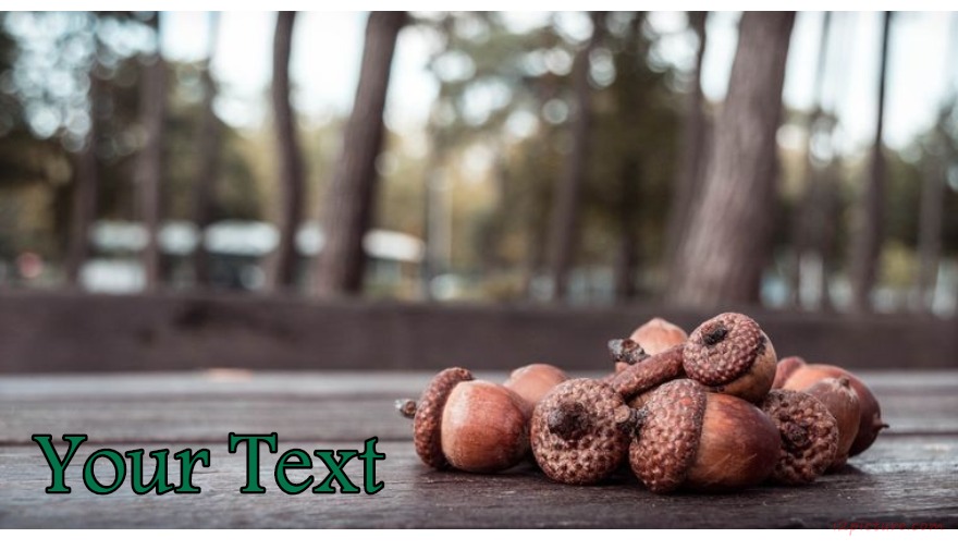 Nut On The Table Postcard