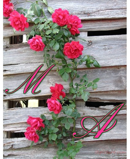 Your Name And Your Lover Next To A Bouquet Of Flowers Postcard