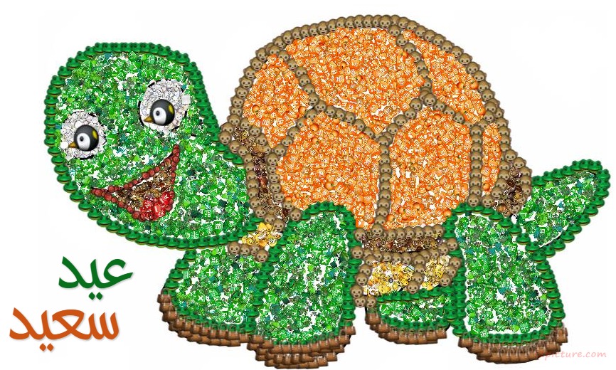 Turtle Emoji Postcard