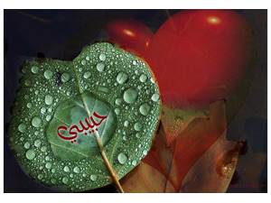 Type your lover's name on a leaf in water