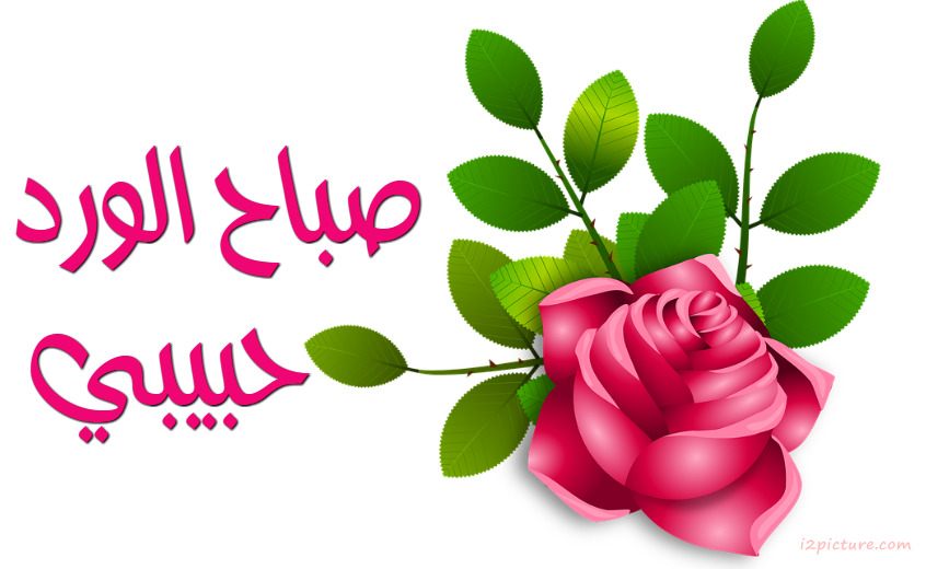 Colorful Flowers And Green Paper Postcard