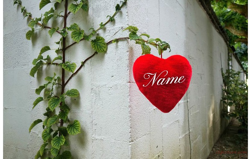 Your Name And Your Lover Have A Red Heart On The Tree Postcard