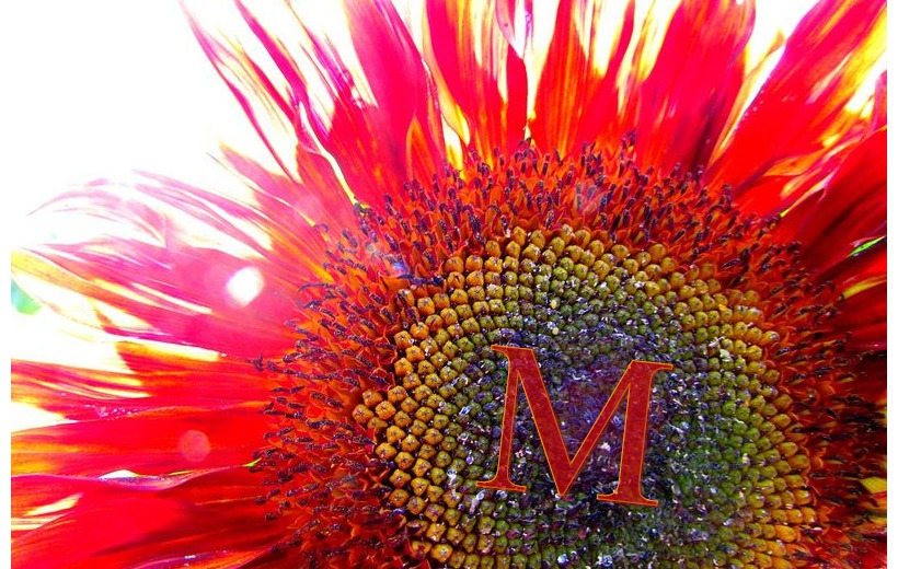 Your Lover's Name On The Big Flower Postcard